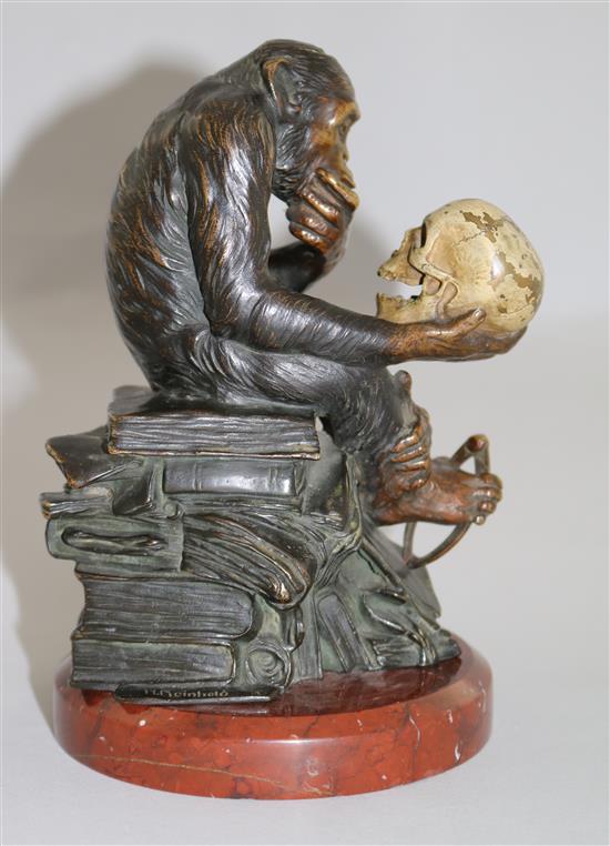 Wolfgang Hugo Rheinhold (1853-1900). A patinated and cold painted bronze sculpture ape with skull, 7.5in.